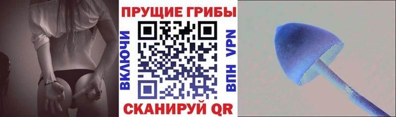 Галлюциногенные грибы прущие грибы  Купить  Междуреченск 